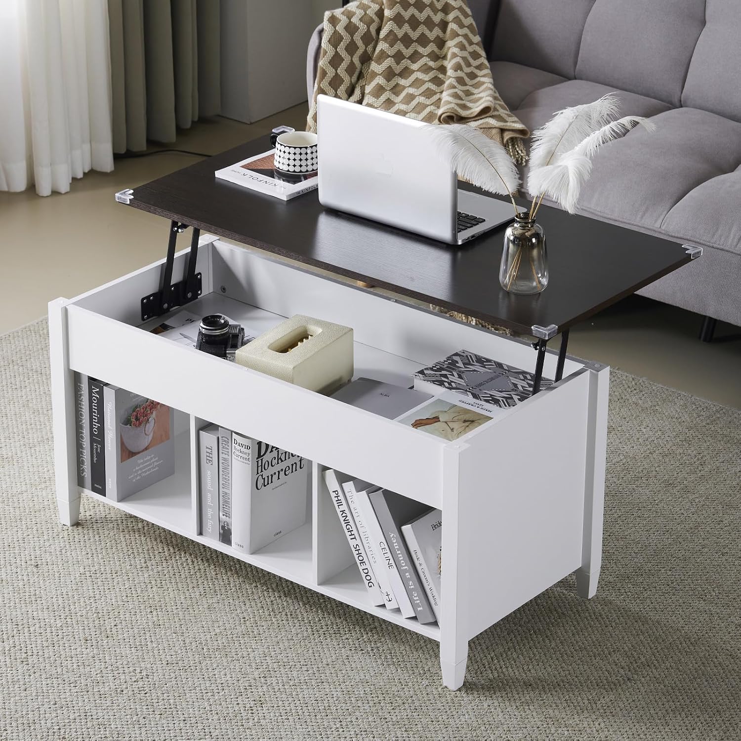 White Dark Brown Lift Top Storage Coffee Table