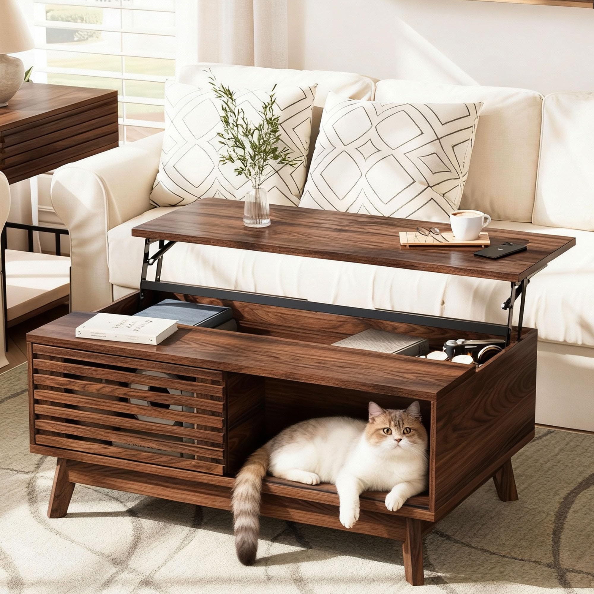 Walnut Sliding Door Mid Century Coffee Table